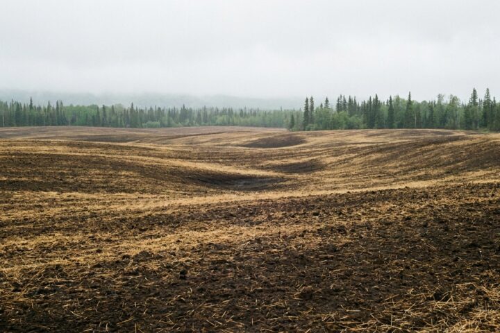 Tajúci permafrost na Aljaške mení budúcnosť farmárstva — a dáva návod aj nižším šírkam