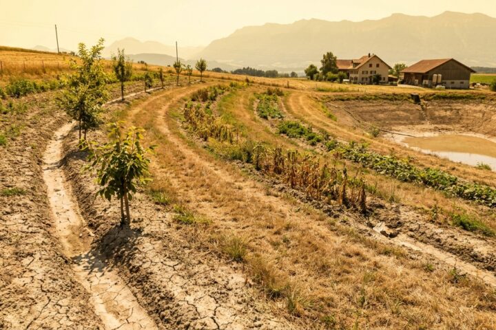 Ako sa biodynamická farma pripravuje na extrémne suchá